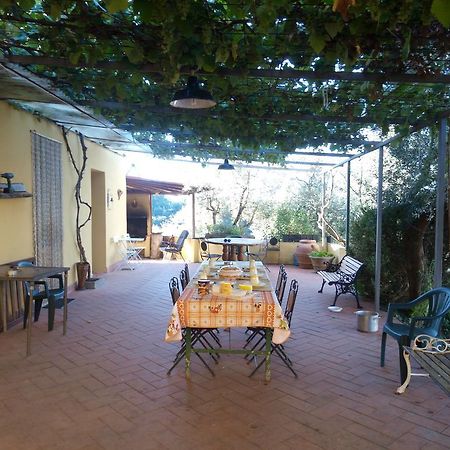 Agriturismo Il Cavallone Villa Montelupo Fiorentino Exterior foto