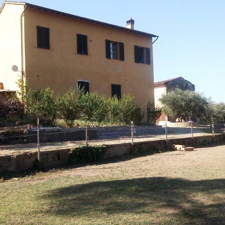 Agriturismo Il Cavallone Villa Montelupo Fiorentino Exterior foto