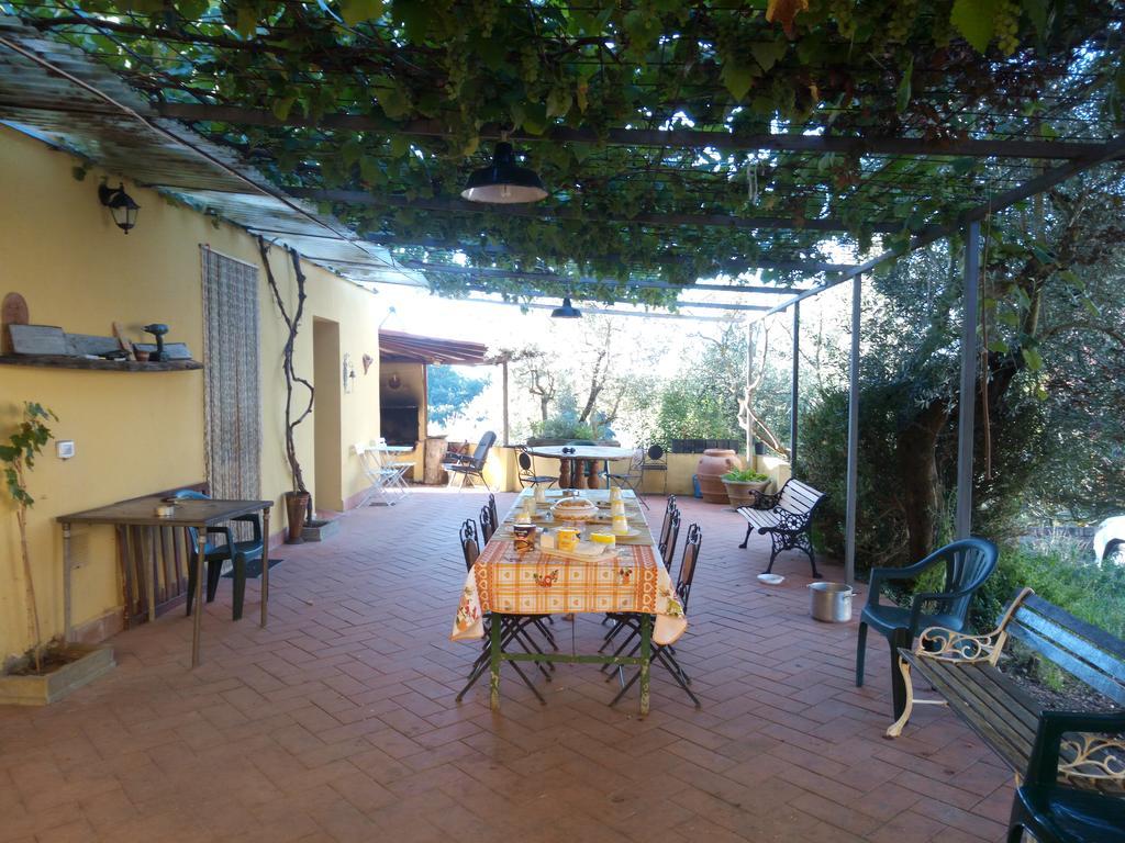 Agriturismo Il Cavallone Villa Montelupo Fiorentino Exterior foto